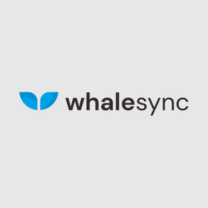 whalesync brand logo for whalesync.com