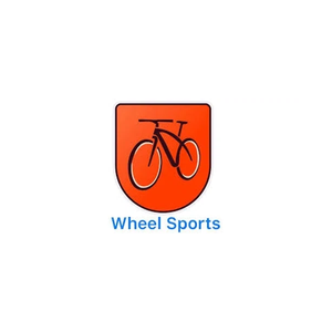 wheelsports brand logo for wheelsports.biz