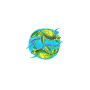 whimsicalturtle brand logo for whimsicalturtle.com