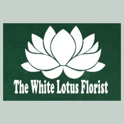 whitelotusflorist brand logo for whitelotusflorist.net