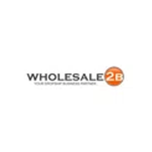 Wholesale2b brand logo for wholesale2b.com