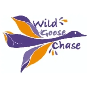 wildgoosechasegifts brand logo for wildgoosechasegifts.com