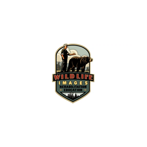 wildlifeimages brand logo for wildlifeimages.org
