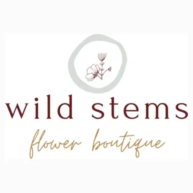 wildstems brand logo for wildstems.la