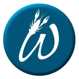williesbr brand logo for williesbr.com