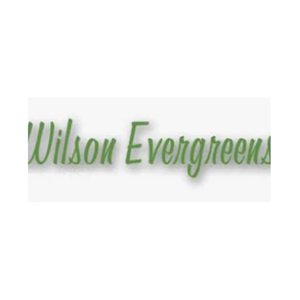 wilsonevergreens brand logo for wilsonevergreens.com
