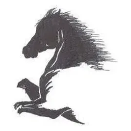 windswepthorse brand logo for windswepthorse.com