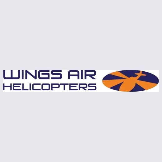 wingsair brand logo for wingsair.net