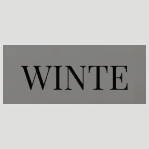 wintecollective brand logo for wintecollective.com