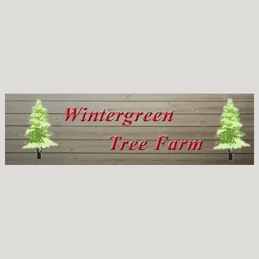 wintergreentreefarm brand logo for wintergreentreefarm.com