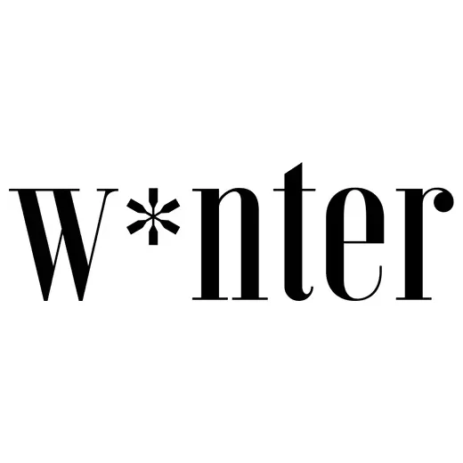 winterstyle brand logo for winterstyle.com