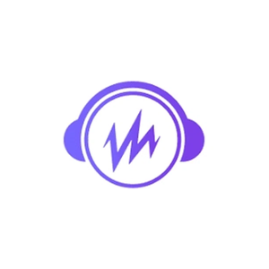 wiredvibeapp brand logo for wiredvibeapp.com
