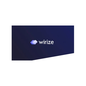 wirize brand logo for wirize.com