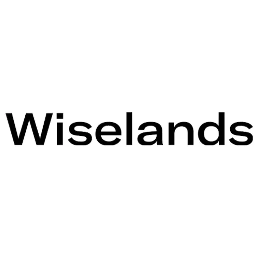wiselands brand logo for wiselands.world