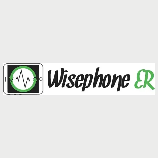 wisephoneer brand logo for wisephoneer.com