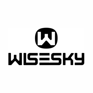 wisesky brand logo for wisesky.com