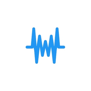 wisetalkapp brand logo for wisetalkapp.com