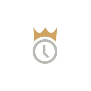 wisetime brand logo for wisetime.com