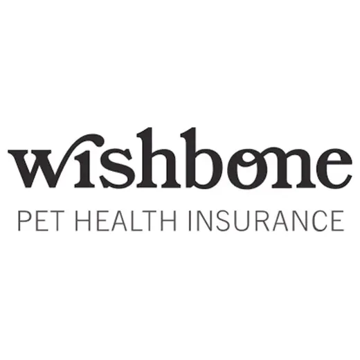 wishboneinsurance brand logo for wishboneinsurance.com