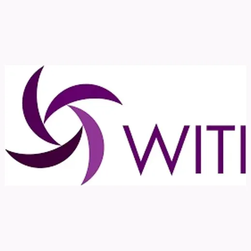 witi brand logo for witi.com