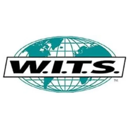 witseducation brand logo for witseducation.com