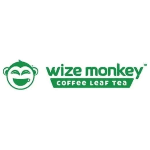 wizemonkey brand logo for wizemonkey.com