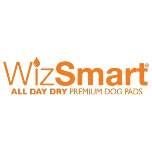 wizsmart brand logo for wizsmart.com