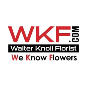 wkf brand logo for wkf.com