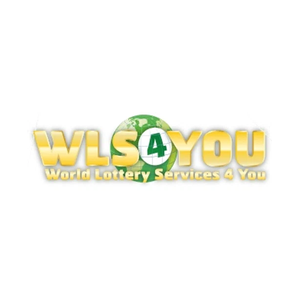 wls4you brand logo for wls4you.com