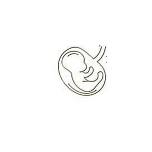 womanschoiceperinatal brand logo for womanschoiceperinatal.com