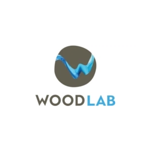 woodlab brand logo for woodlab.co