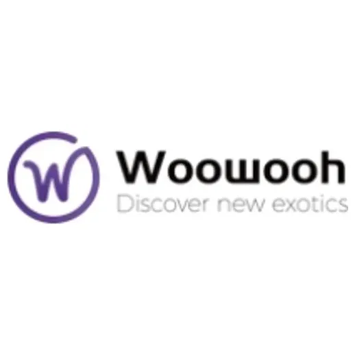 woowooh brand logo for woowooh.com