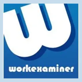 workexaminer brand logo for workexaminer.com