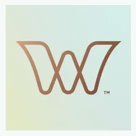 worldview brand logo for worldview.space