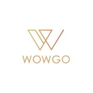 WowGo Board brand logo for wowgoboard.com