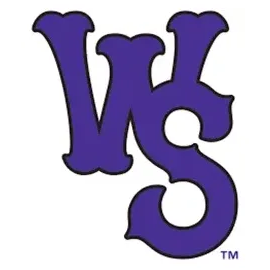 Milbstore brand logo for wsdash.milbstore.com