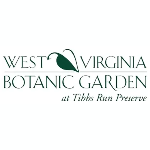 wvbg brand logo for wvbg.org