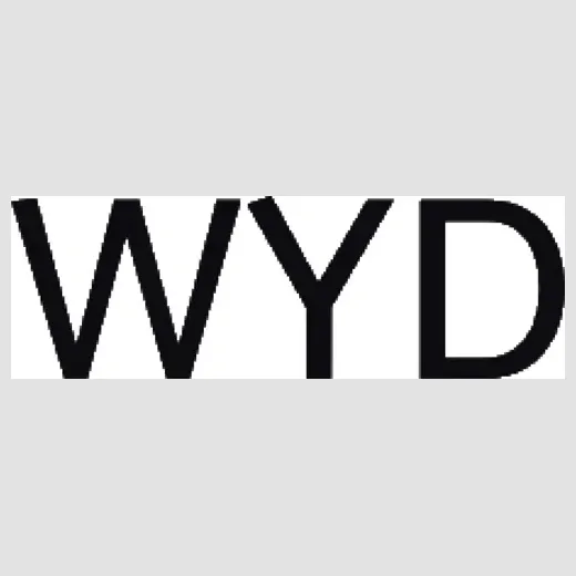 wyd brand logo for wyd.ai