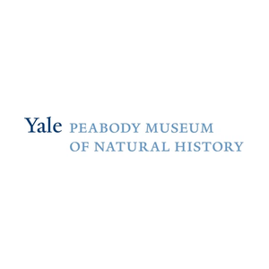 Yale brand logo for peabody.yale.edu