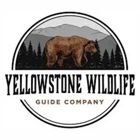yellowstonewildlifeguidecompany brand logo for yellowstonewildlifeguidecompany.com