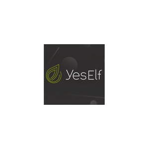 yeself brand logo for yeself.com