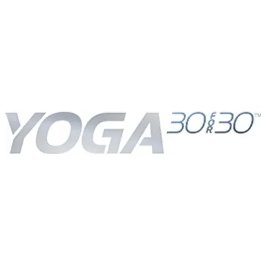 yoga30for30 brand logo for yoga30for30.com