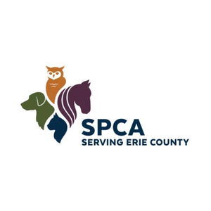 yourspca brand logo for yourspca.org