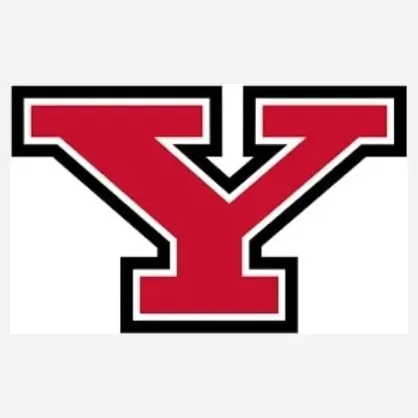 ysusports brand logo for ysusports.com