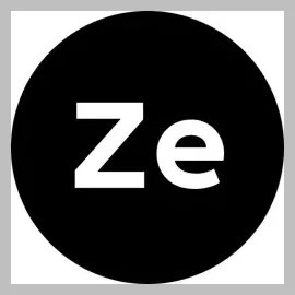 zebranding brand logo for zebranding.com