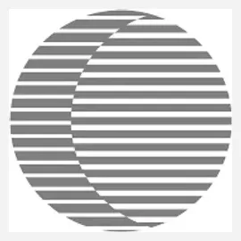 zeitgeist brand logo for zeitgeist.pm