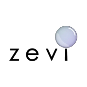 zevi brand logo for zevi.ai