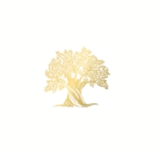 zeytinoil brand logo for zeytinoil.com
