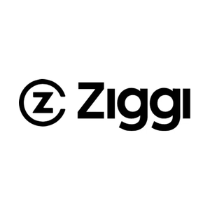 ziggicig brand logo for ziggicig.com