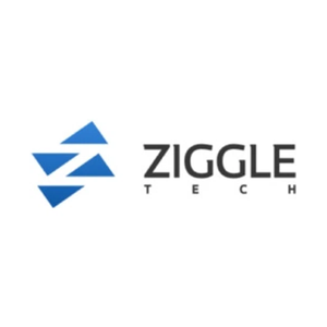 ziggletech brand logo for ziggletech.com